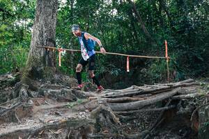 BIB: 
                            <button type="button" onclick="openModal(27741228)" class="btn btn-primary btn-sm float-right btn-popup" data-toggle="modal" data-target=".modal-high-quality">
                        <i class="fas fa-shopping-cart"></i> Add to Cart
                    </button>
                                            <button type="button" onclick="isThisMe(27741228, true)" class="btn btn-success btn-sm float-right btn-popup btn-isme hidden" data-toggle="tooltip" data-placement="bottom" title="นี่คือรูปของคุณใช่ไหม คลิกที่นี่เพื่อเอาเข้าอัลบั้ม">
                        <i class="fas fa-plus"></i> Add to album
                    </button>
                    <button type="button" onclick="isThisMe(27741228, false)" class="btn btn-warning btn-sm float-right btn-popup btn-isnotme hidden">
                        <i class="fas fa-ban"></i> Remove from album
                    </button>